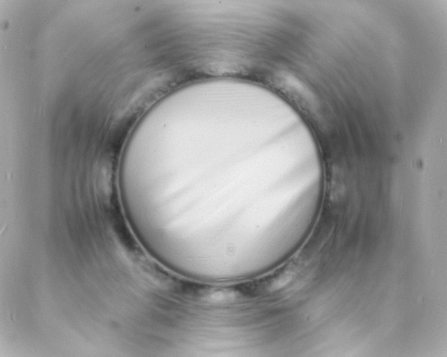 X0000088130210200705291341