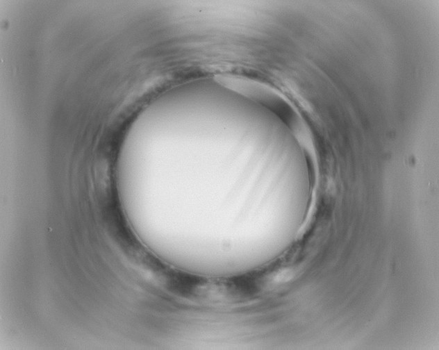 X0000088130211200705291341