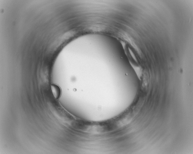 X0000088130212200705291341