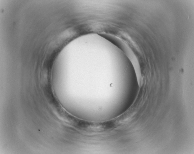 X0000088130213200705291341