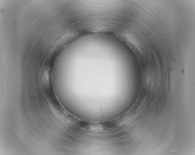 X0000088130214200705291341