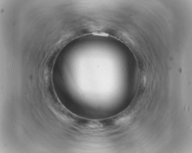 X0000088130215200705291341