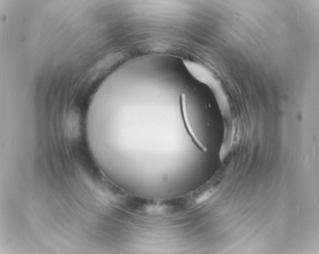 X0000088130216200705291341