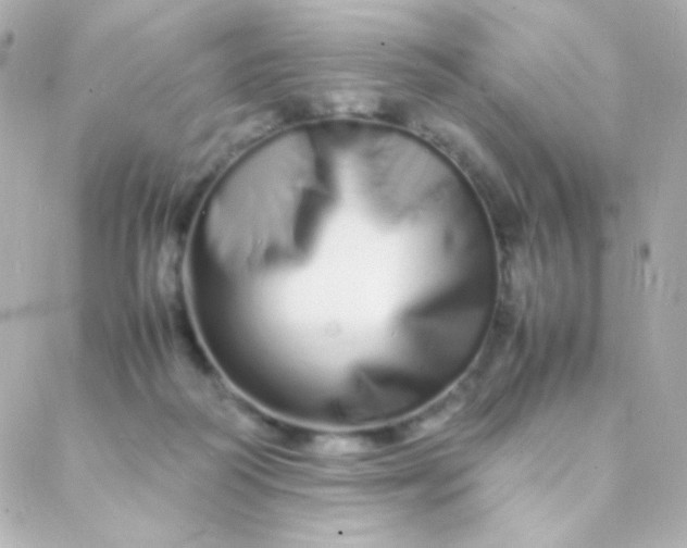 X0000088130218200705291341