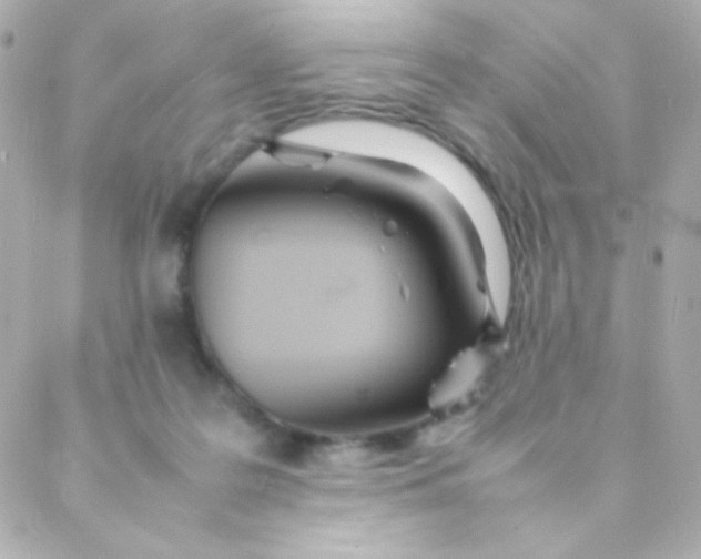 X0000088130219200705291341