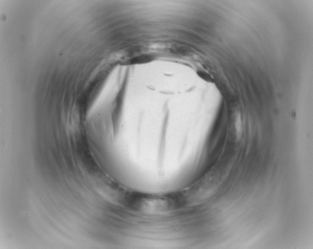 X0000088130220200705291341