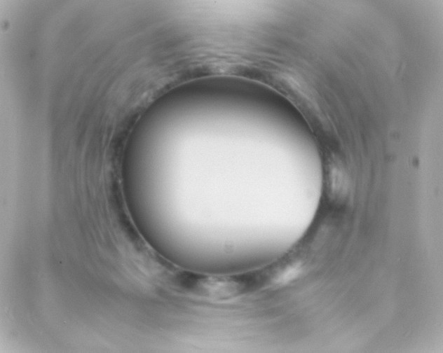 X0000088130221200705291341