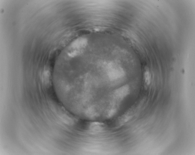 X0000088130222200705291341