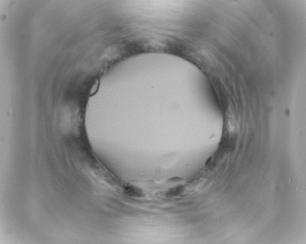 X0000088130223200705291341