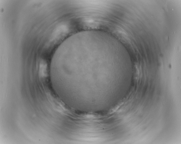 X0000088130224200705291341