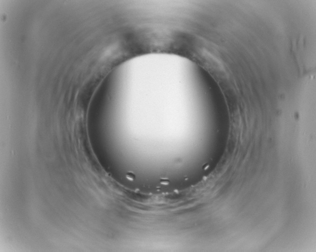 X0000088130225200705291341