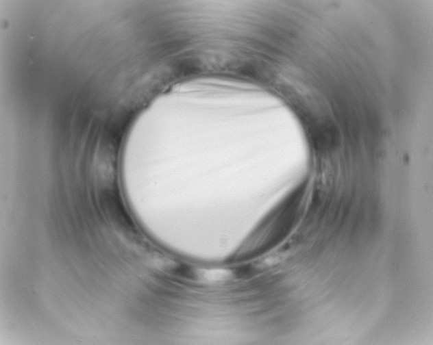 X0000088130226200705291341