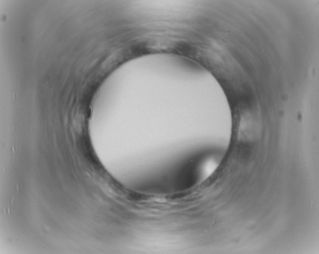 X0000088130227200705291341