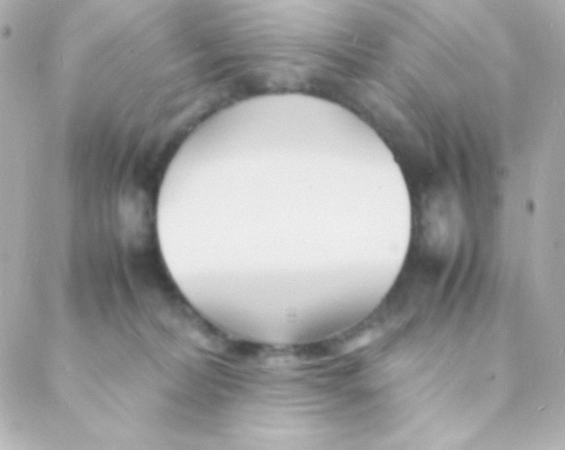 X0000088130228200705291341