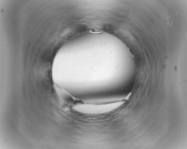 X0000088130229200705291341