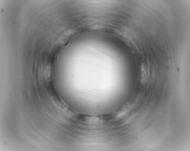 X0000088130230200705291341