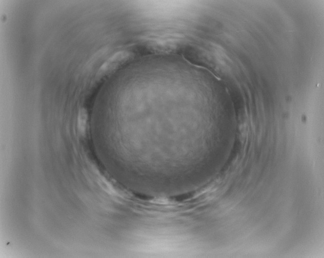 X0000088130231200705291341