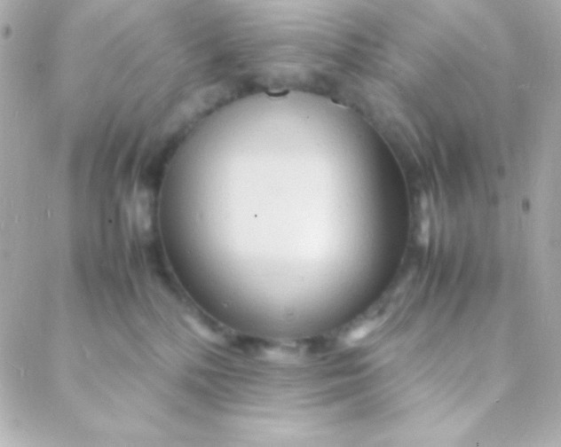 X0000088130232200705291341