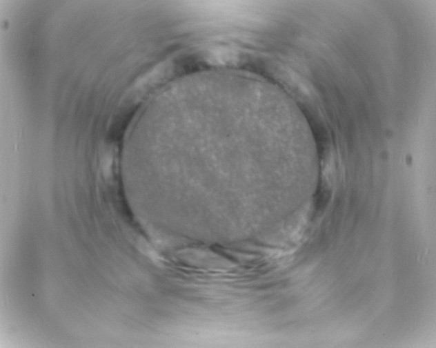 X0000088130233200705291341