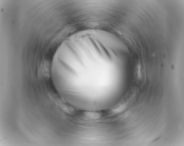 X0000088130234200705291341