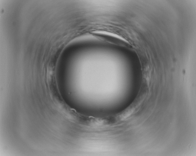 X0000088130235200705291341