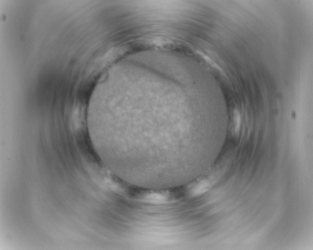 X0000088130236200705291341