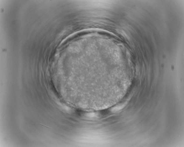 X0000088130237200705291341