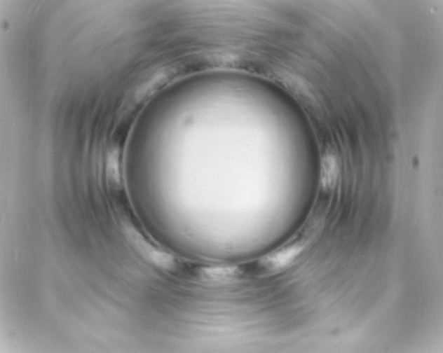 X0000088130238200705291341