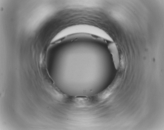 X0000088130239200705291340