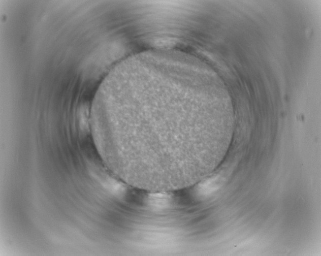 X0000088130240200705291340