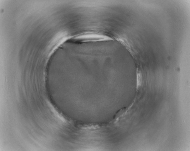 X0000088130243200705291340