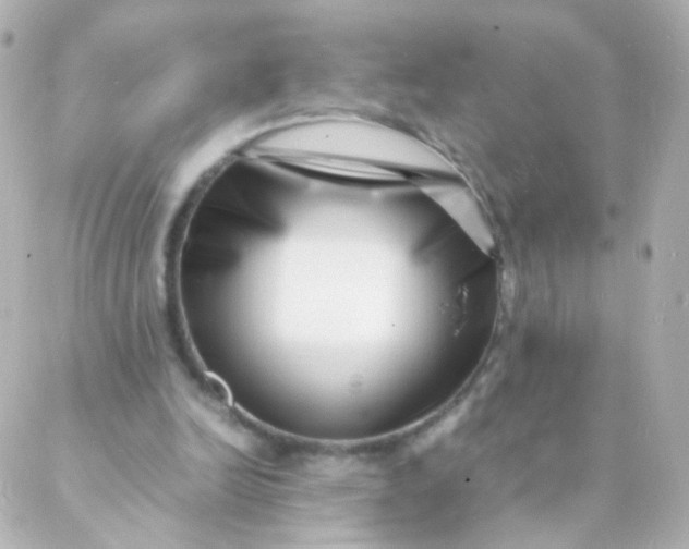 X0000088130246200705291340