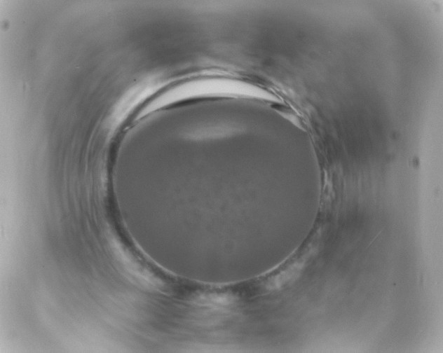 X0000088130247200705291340