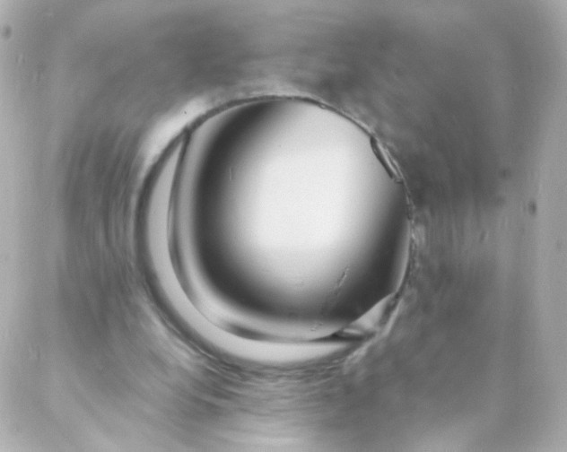 X0000088130248200705291340