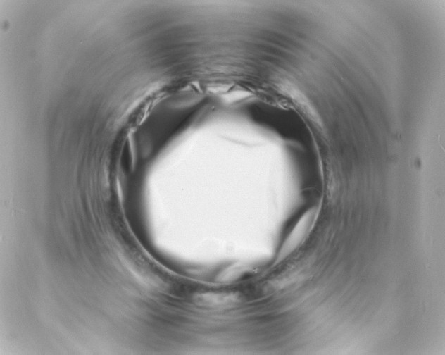 X0000088130251200705291340