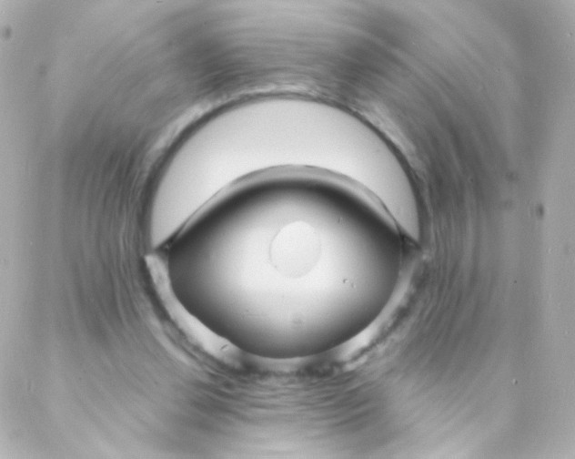 X0000088130252200705291340