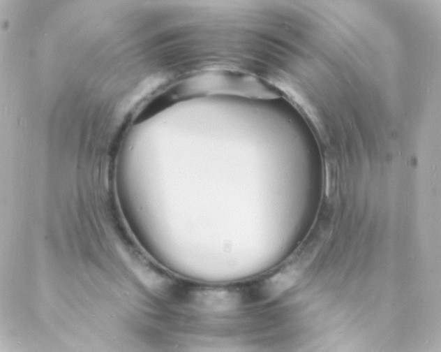 X0000088130253200705291340