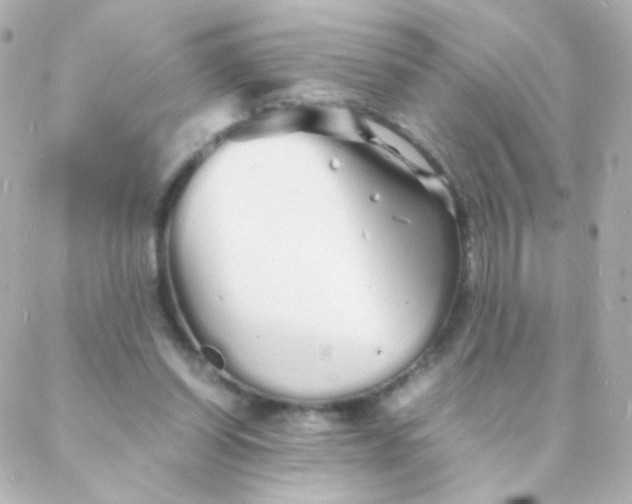 X0000088130254200705291340