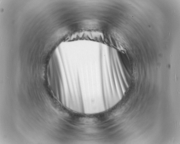 X0000088130255200705291340