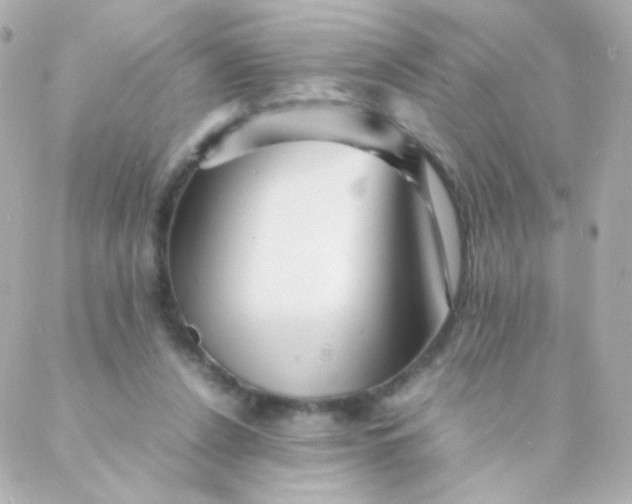 X0000088130256200705291340