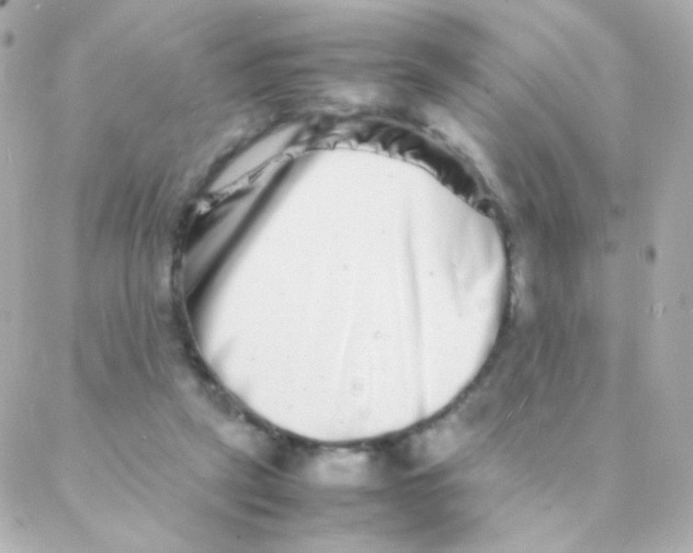 X0000088130257200705291340