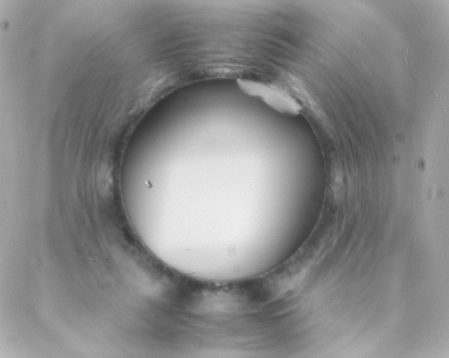 X0000088130259200705291340