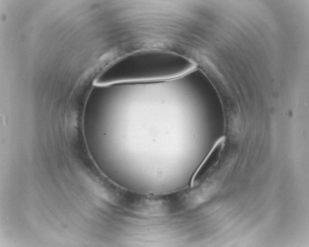 X0000088130260200705291340