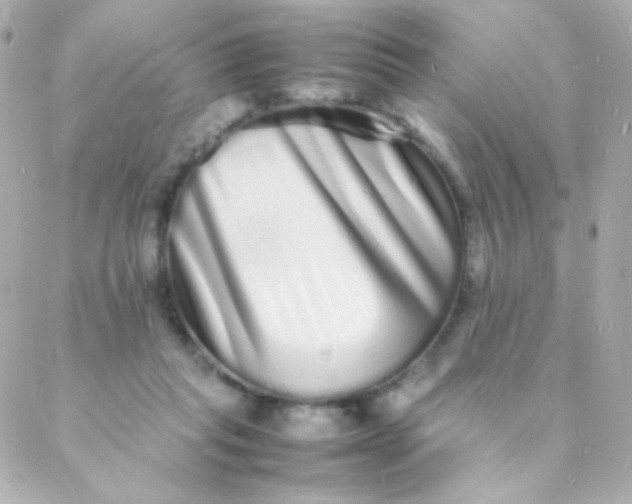 X0000088130261200705291340