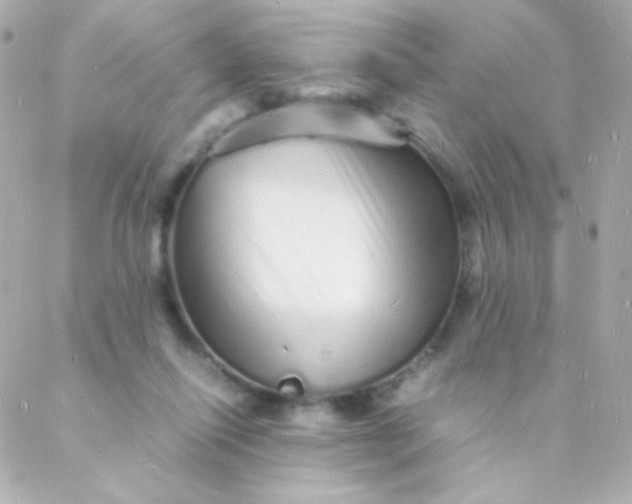 X0000088130262200705291340