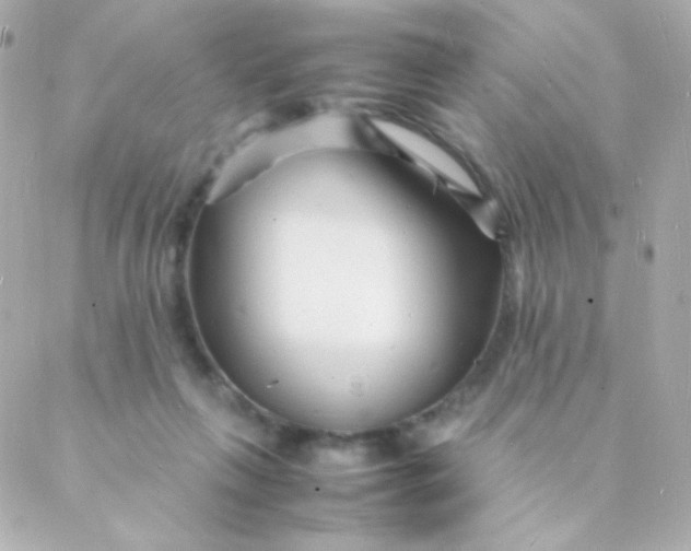 X0000088130263200705291340