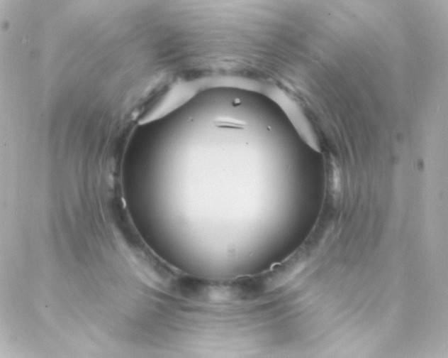 X0000088130264200705291340