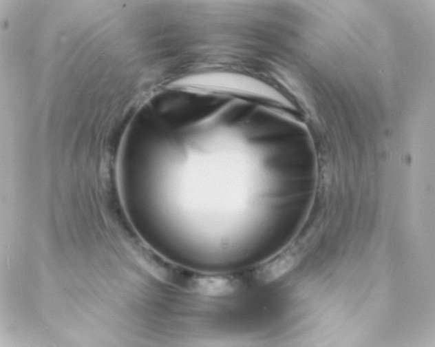 X0000088130265200705291340