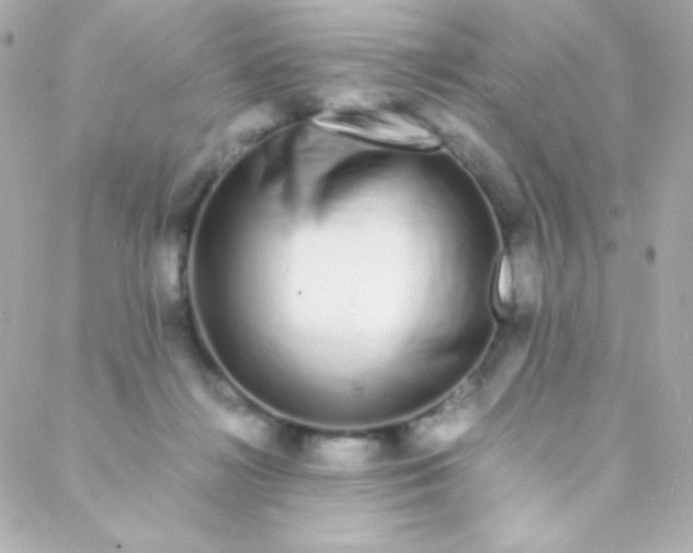 X0000088130268200705291340