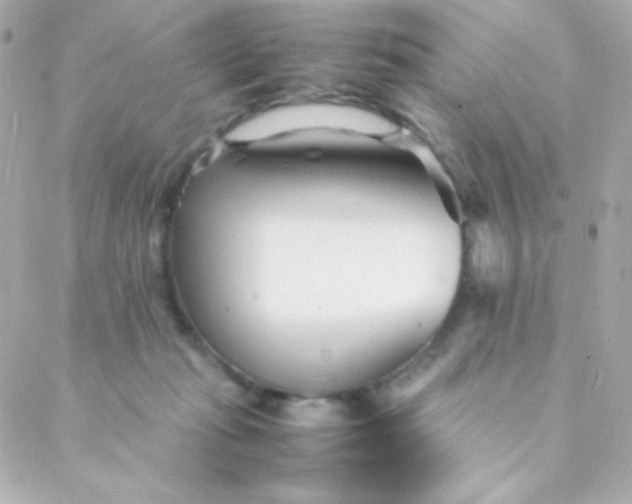 X0000088130269200705291340